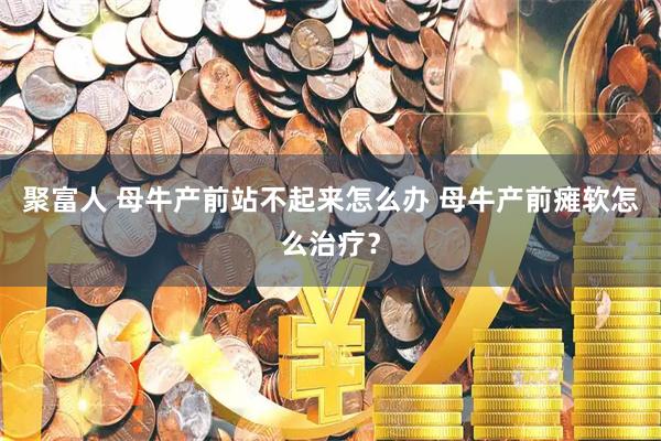 聚富人 母牛产前站不起来怎么办 母牛产前瘫软怎么治疗？