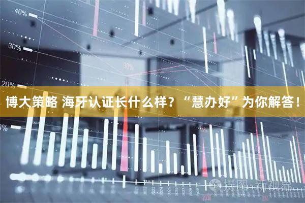 博大策略 海牙认证长什么样？“慧办好”为你解答！