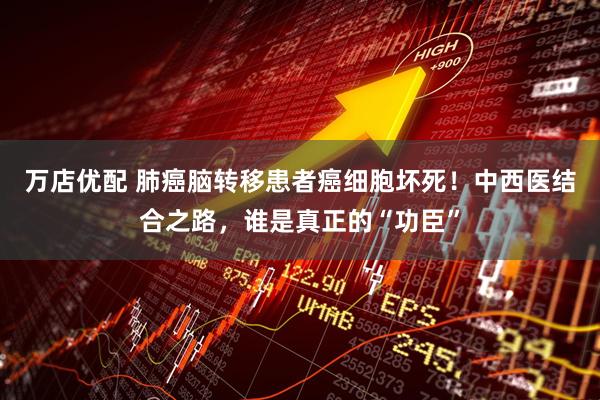 万店优配 肺癌脑转移患者癌细胞坏死！中西医结合之路，谁是真正的“功臣”