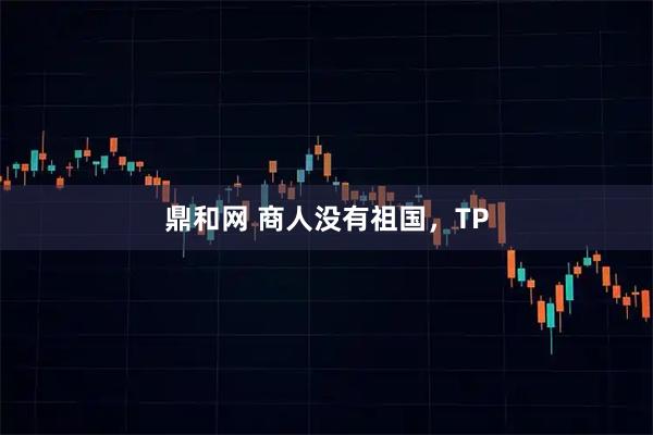 鼎和网 商人没有祖国，TP